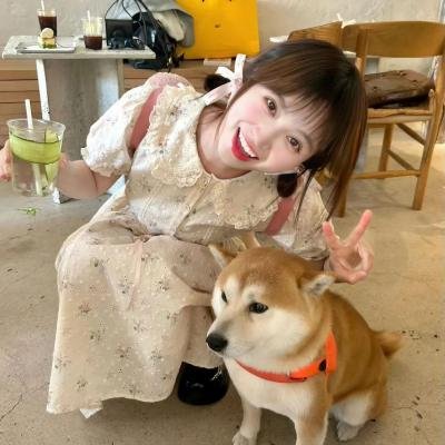 我要怎么感动你